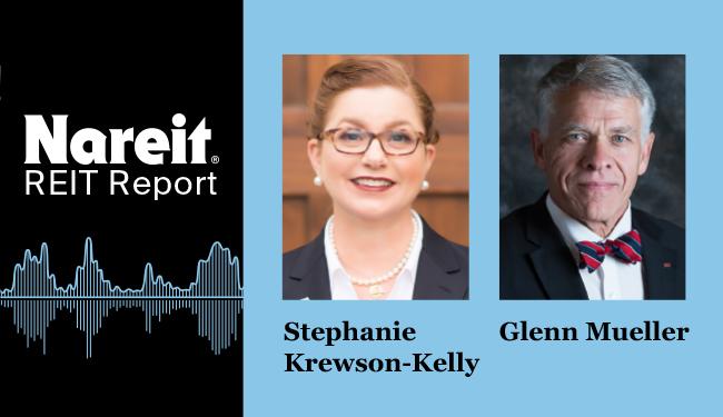 REIT Report with Stephanie Krewson-Kelly, Glenn Mueller  Industry Experts Publish First Academically-Focused Textbook on REIT Investment 1619224259 810 industry experts publish first academically focused textbook on reit investment